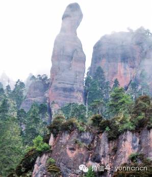 atm机上为什么有养老金账户,atm取不了养老金