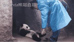 成都附近动物城,成都周边动物乐园