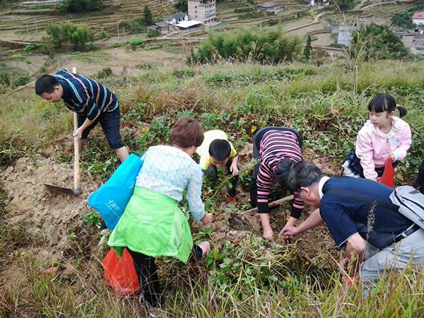 泉州永春北溪文苑旅游风景区游记,永春旅游冬季景点介绍大全