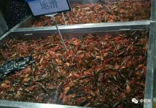 泉州超市水产招商,新鲜海鲜水产超市