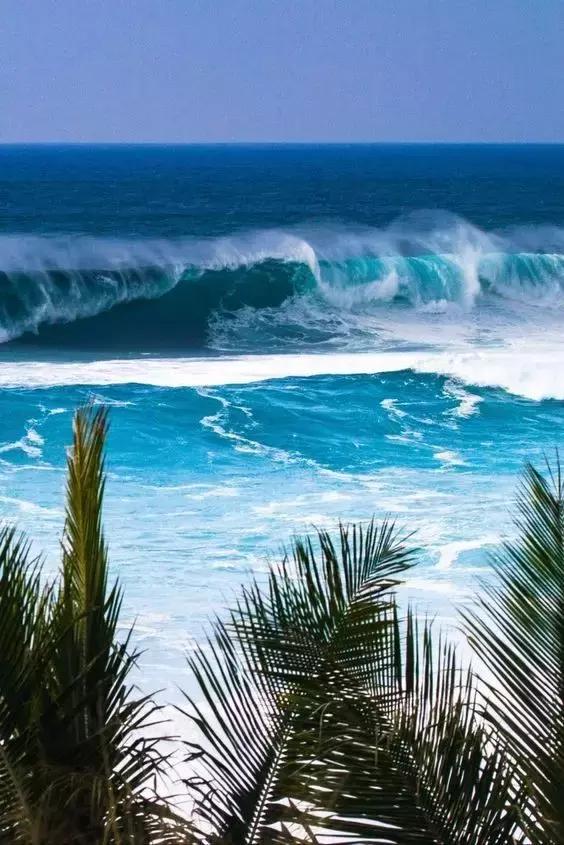 骨灰级海岛自由行签证,骨灰级干货史上最全海岛签证汇总