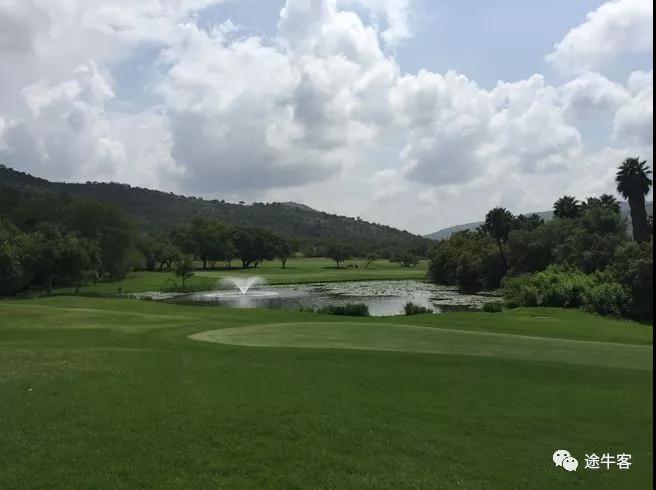 陈大刚动态,陈大刚扎兰屯