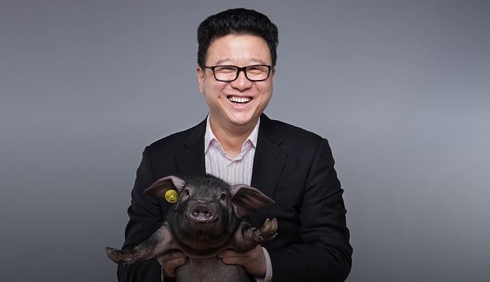 网易我的世界怎么养猪,网易养猪赚钱了吗