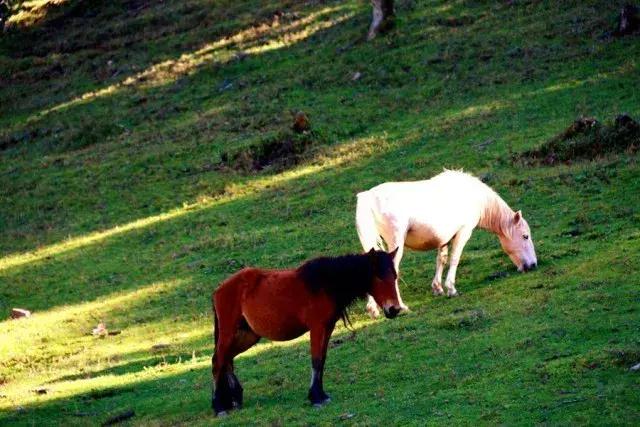 大美徐州云龙公园,大美云龙摄影作品
