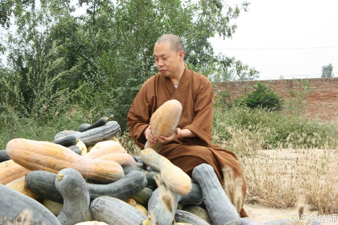 延参法师谈放生,延参法师精彩句子