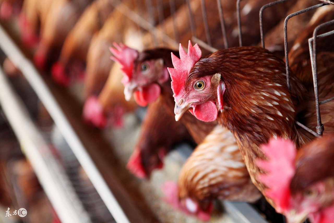 绂藉鏈夐亾18,绂藉鏈夐亾