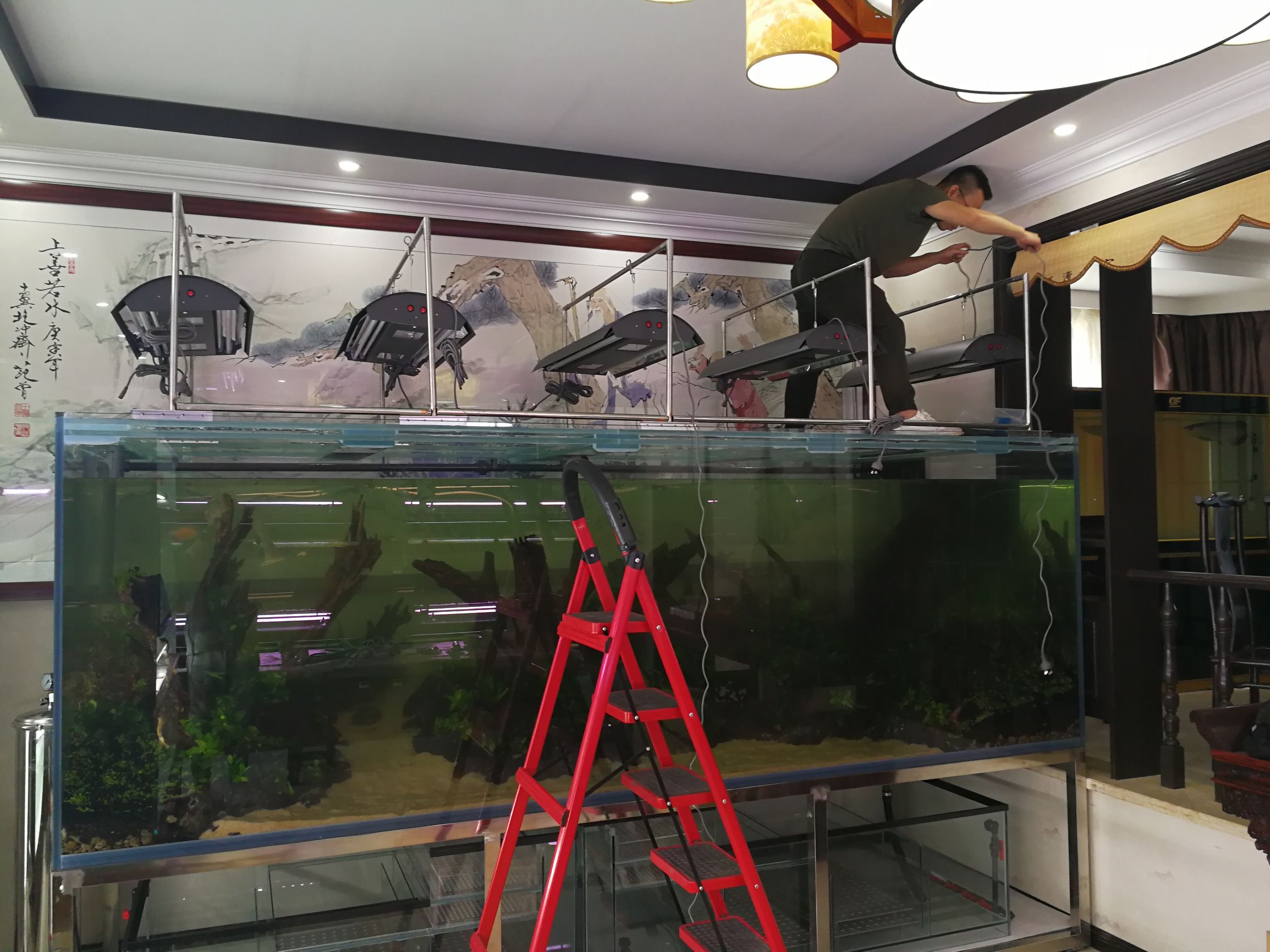 大墙鱼缸,40公分的缸养40的龙鱼