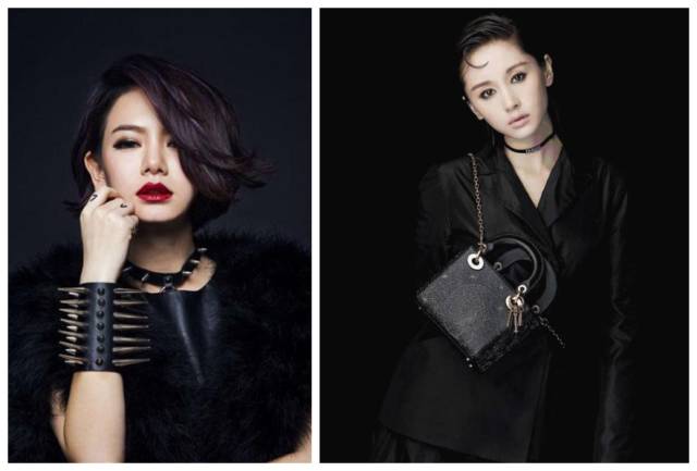 小八为什么走红,小八为什么总是怕人