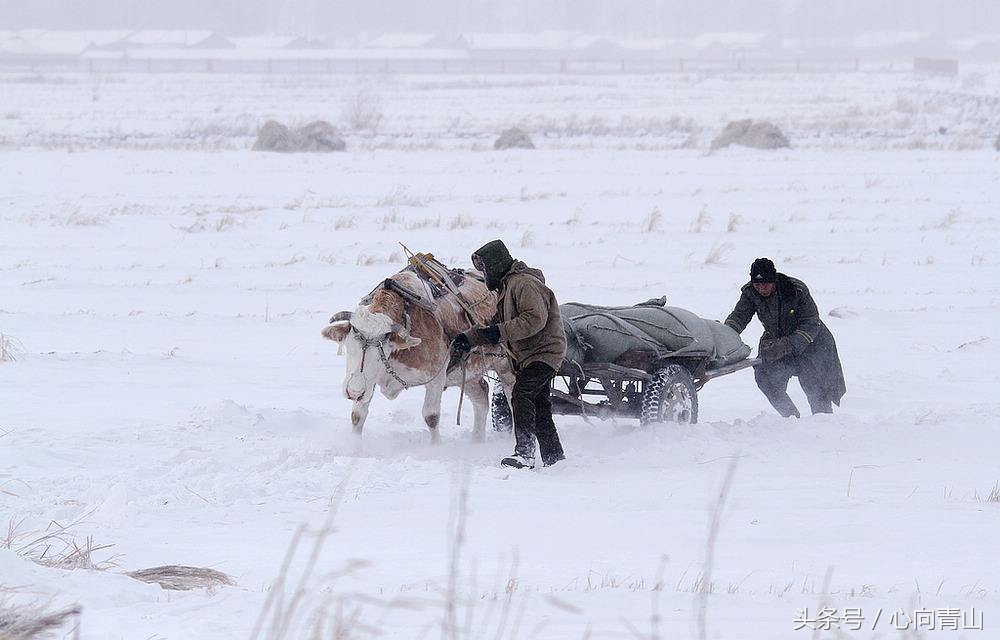 齐鲁燕赵指的是哪些省份,各省的别称齐鲁大地荆楚大地