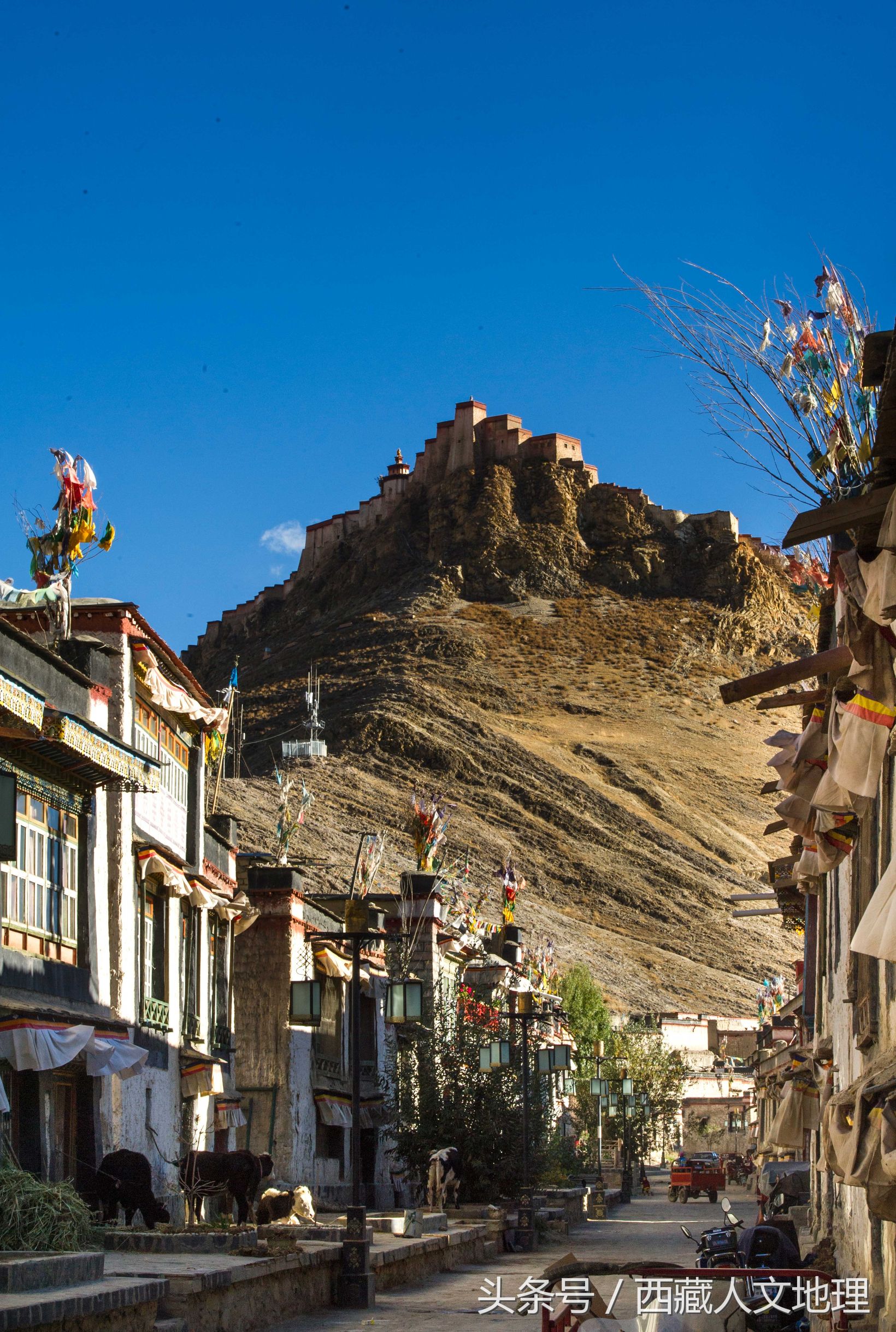 世界三大名地毯,世界十大名牌地毯