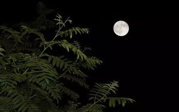 从白昼到黑夜，爱上宜昌的24小时