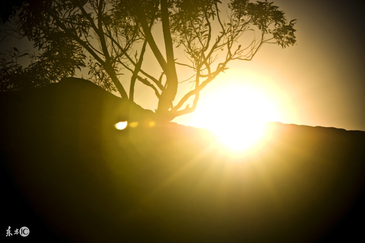 古风歌词唯美句子,歌词唯美如诗