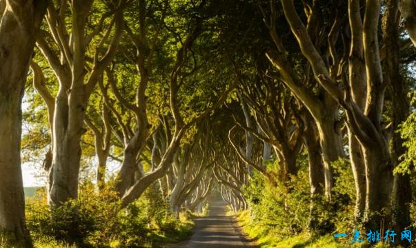 世界上最美的地方令人流连忘返,世界一生必去的56个最美的地方