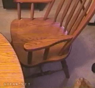 孩子,吃屎是解决不了问题的