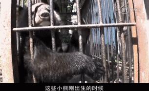 看了让人非常难受的高分电影,这辈子都不想看的电影