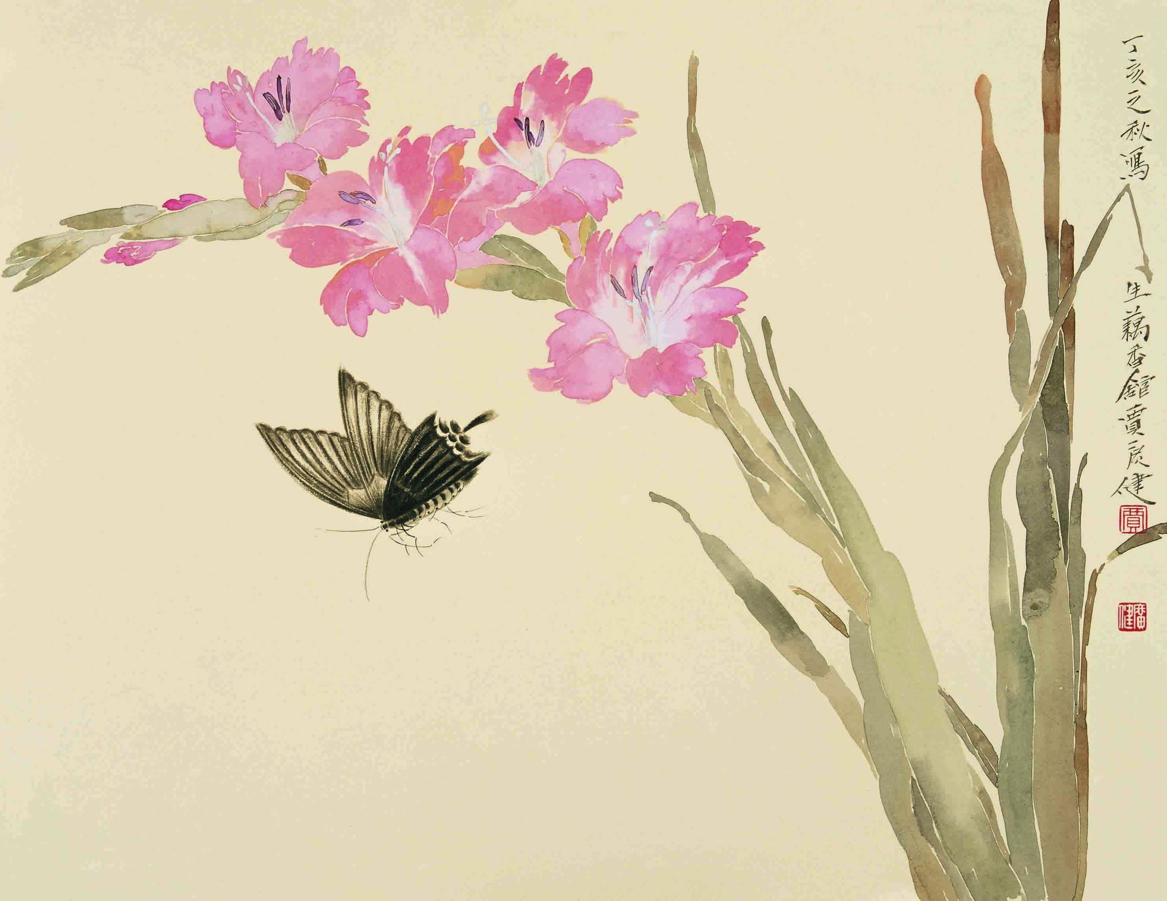 视道如花——贾广健