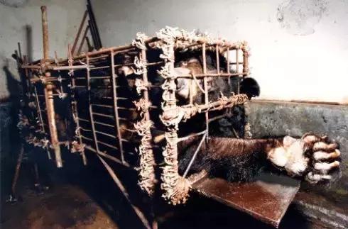 看了让人非常难受的高分电影,这辈子都不想看的电影