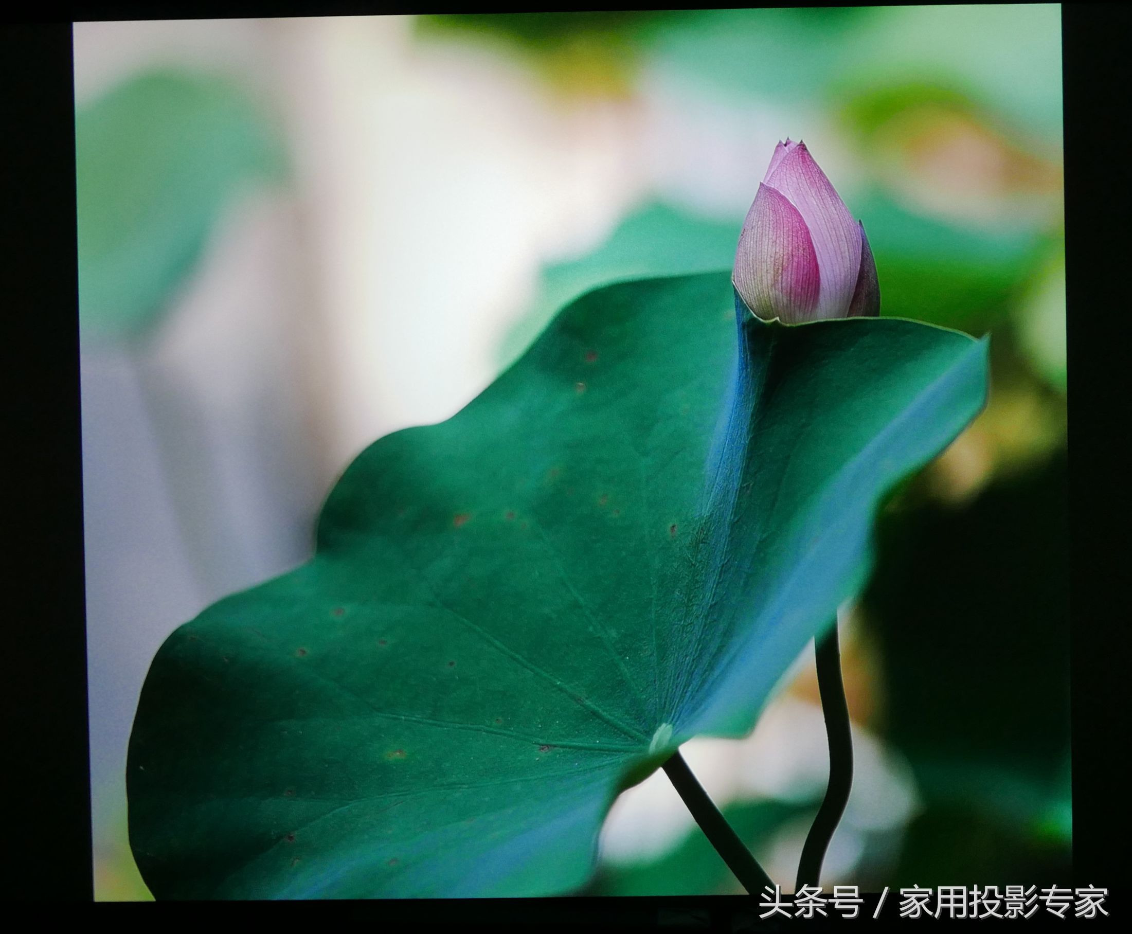 奥图码dlp4k激光投影机,奥图码uhd620深度测评