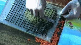 看了让人非常难受的高分电影,这辈子都不想看的电影