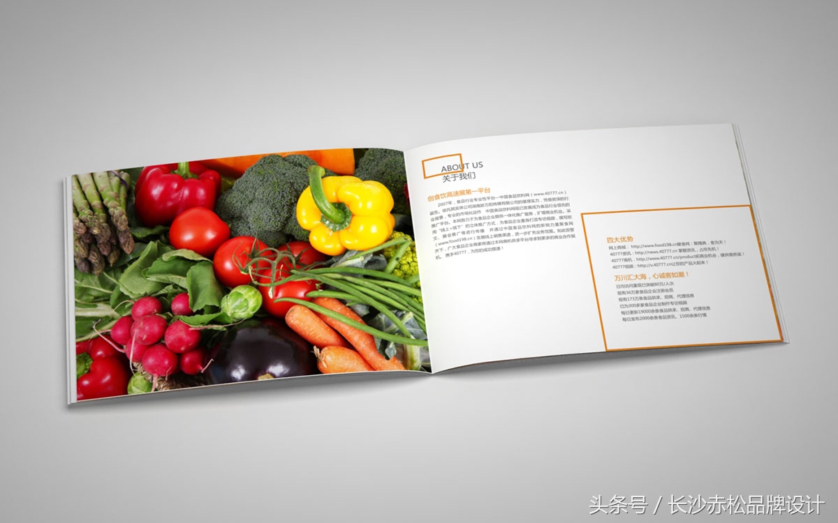 食品公司企业画册制作,食品宣传画册设计