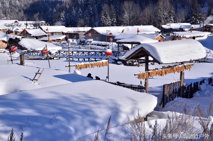 哈尔滨雾凇岛一日游,哈尔滨雪乡雾凇岛攻略