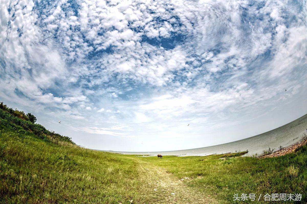 2022浜斾竴鍚堣偉鍏嶈垂鏅尯,鍚堣偉鍏嶈垂鐜╂櫙鍖哄叏鍚嶅崟