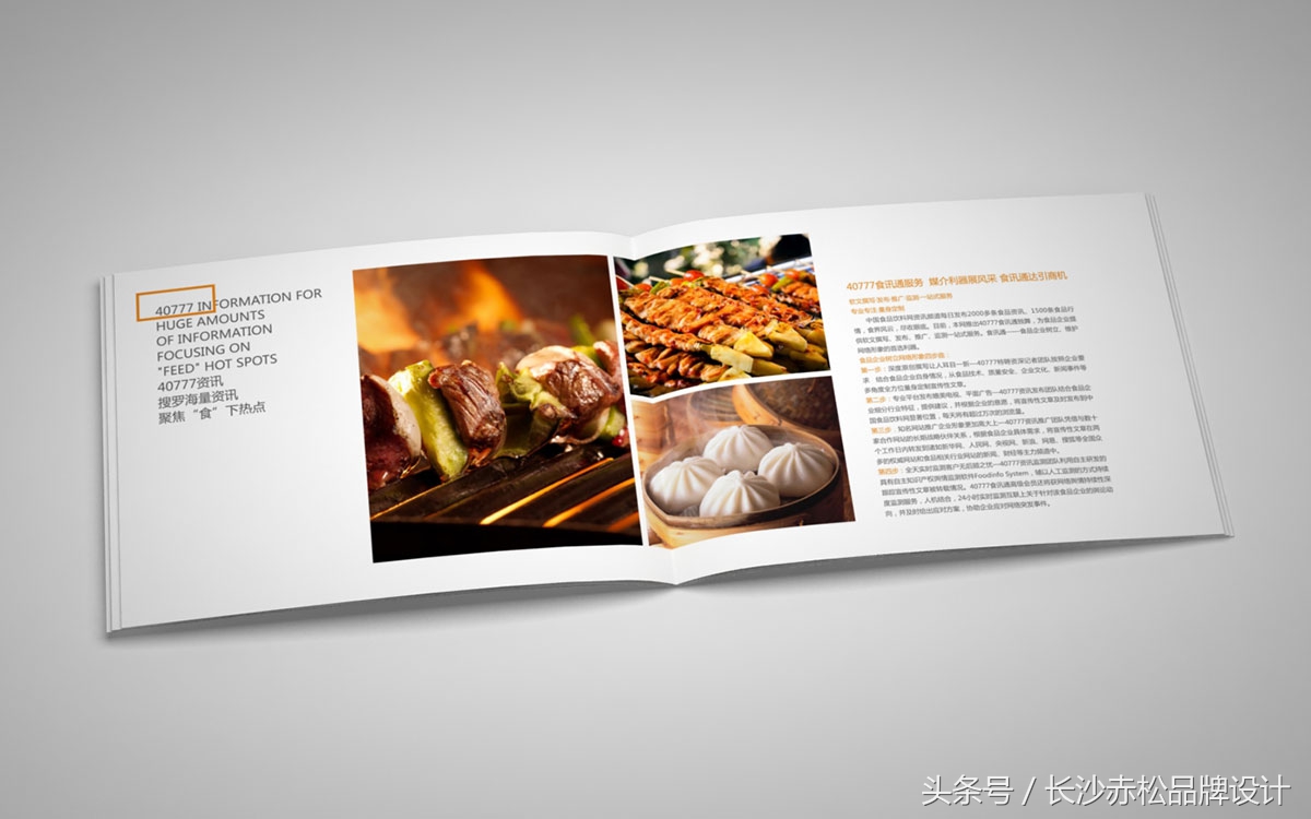 食品公司企业画册制作,食品宣传画册设计