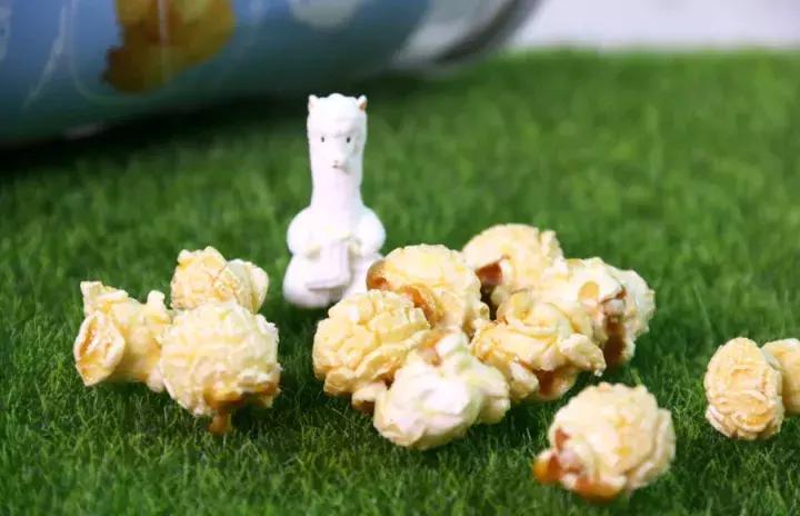 网易严选买的零食可以吃吗,网易严选的零食推不推荐