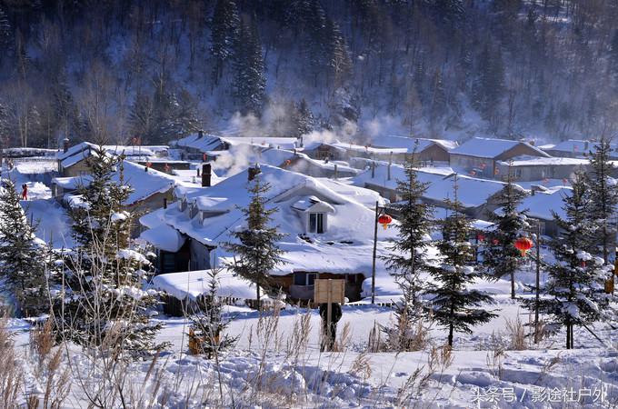 哈尔滨雾凇岛一日游,哈尔滨雪乡雾凇岛攻略