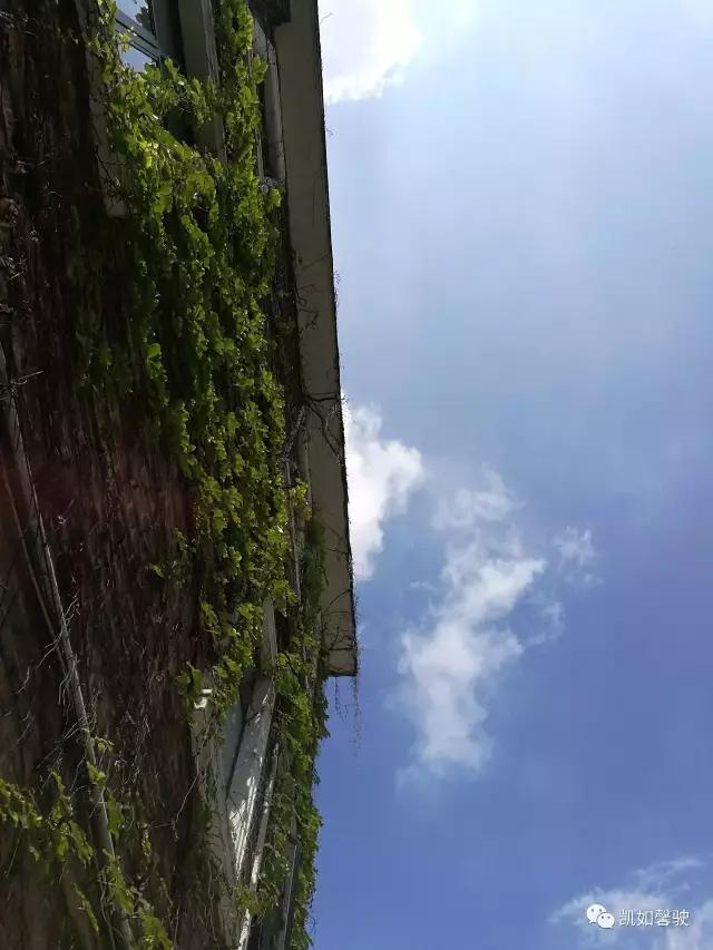 美丽香约香盈月之对照