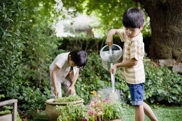 孩子做了家务家长应不应该给钱,孩子做家务总给她钱