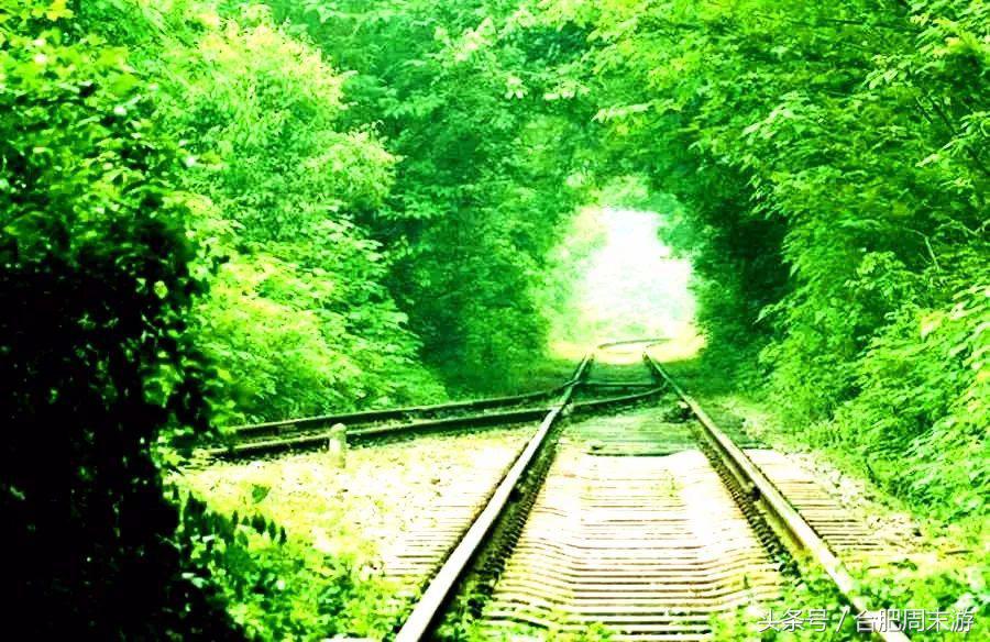 2022浜斾竴鍚堣偉鍏嶈垂鏅尯,鍚堣偉鍏嶈垂鐜╂櫙鍖哄叏鍚嶅崟