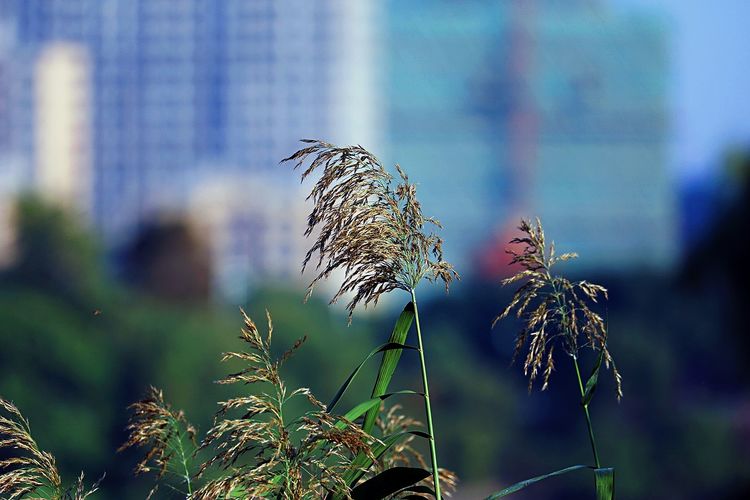 去东湖逛一圈,夏天去东湖哪个景区好玩