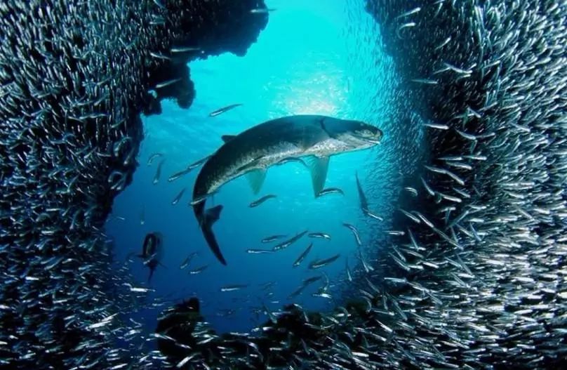 “中央监管结算仓”落地东西湖，能否带来“鲶鱼效应”？