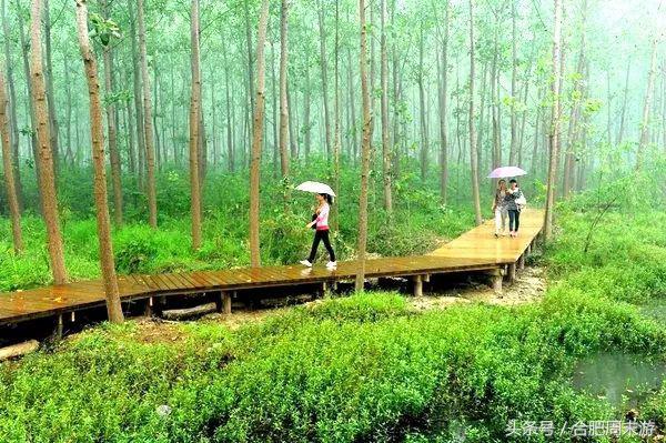 2022浜斾竴鍚堣偉鍏嶈垂鏅尯,鍚堣偉鍏嶈垂鐜╂櫙鍖哄叏鍚嶅崟