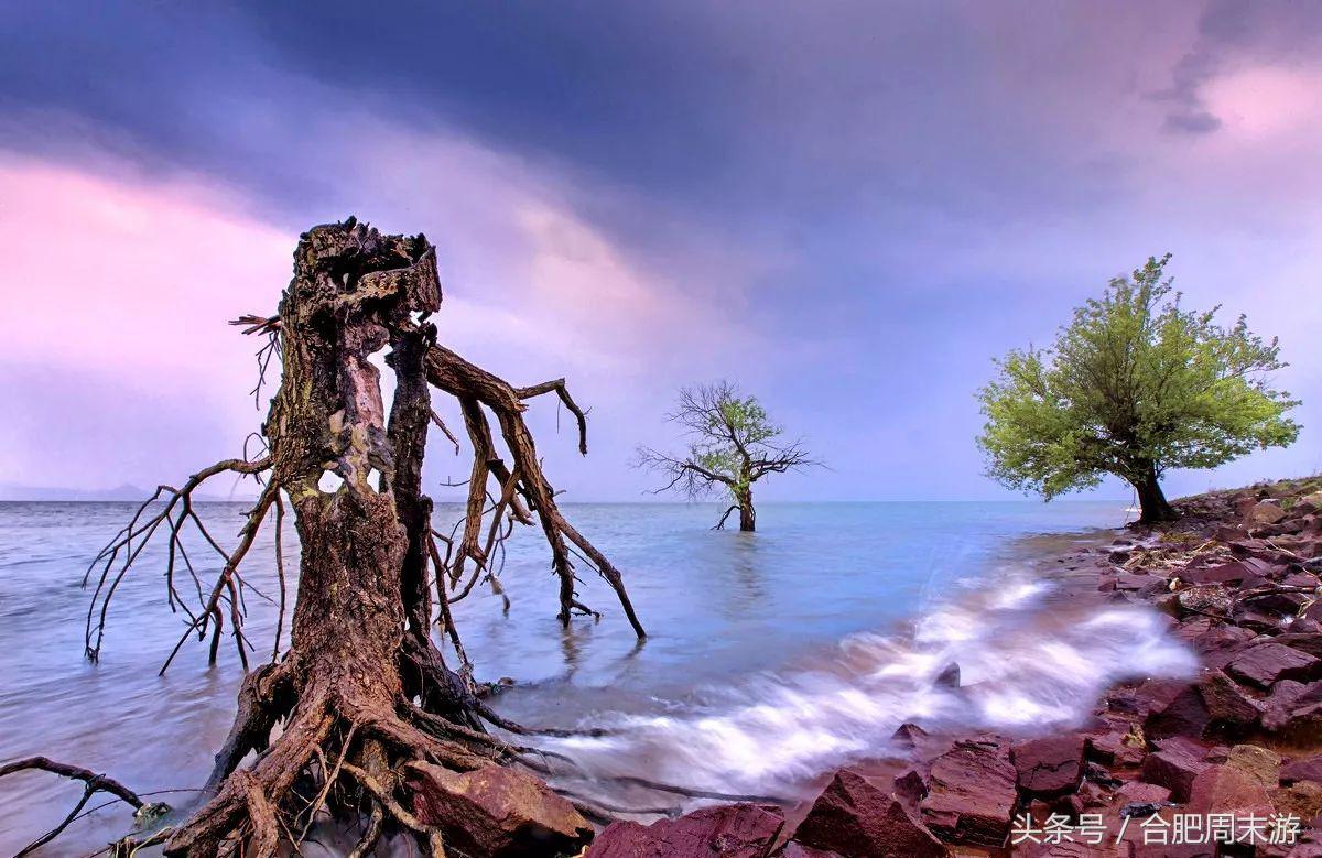 2022浜斾竴鍚堣偉鍏嶈垂鏅尯,鍚堣偉鍏嶈垂鐜╂櫙鍖哄叏鍚嶅崟