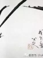 赞美兰花的诗整首,十首最经典兰花诗