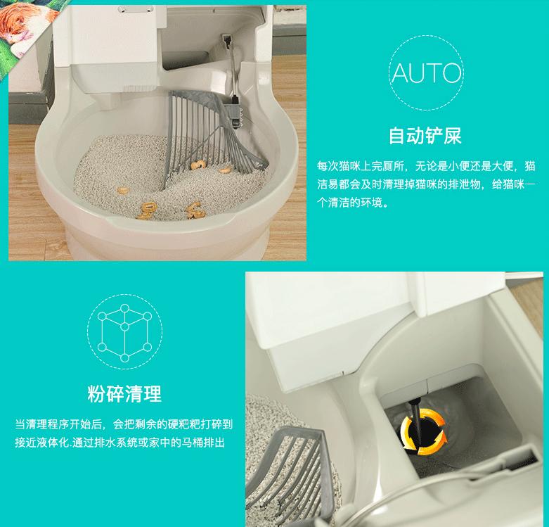 5000元猫,1000块的猫咪厕所