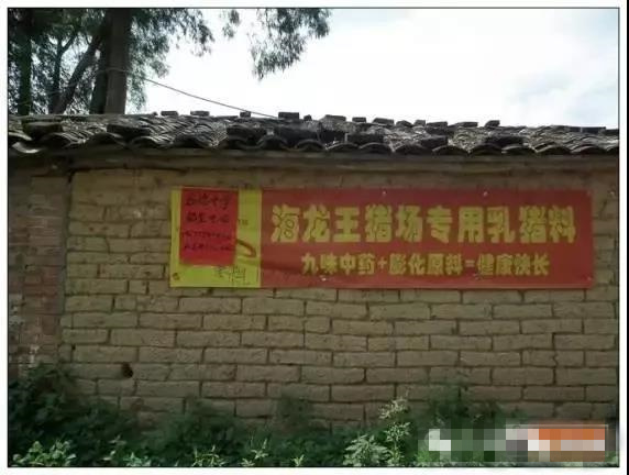 哪一句广告词让你记住了这个饲料品牌,大北农?新希望?双胞胎?