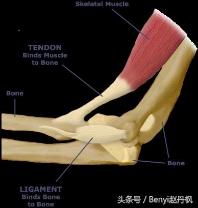 脚踝伤病的六个问题,脚踝受伤康复训练篮球