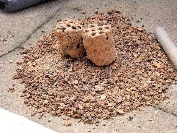 养花需要重视细节,不会养花花儿却生长得很好