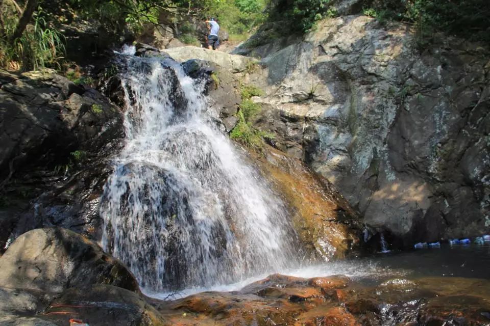 鹏城第一峰梧桐山海拔,鹏城第一峰梧桐山是大梧桐吗