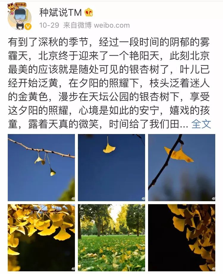 京城赏秋打卡胜地,京城赏荷最佳路线图