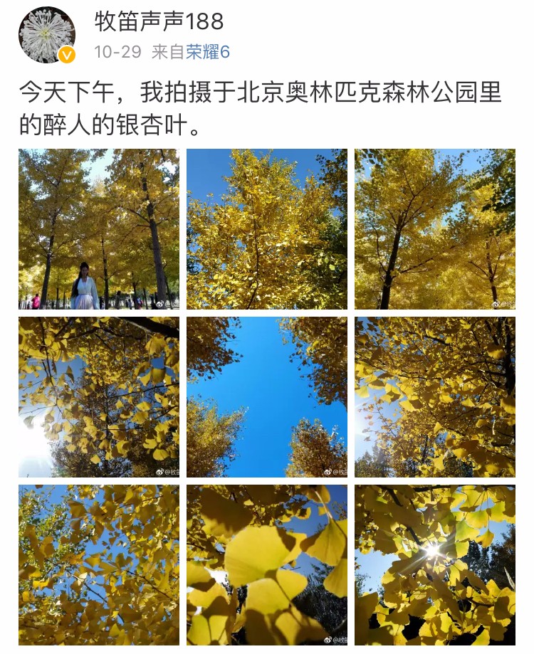 京城赏秋打卡胜地,京城赏荷最佳路线图