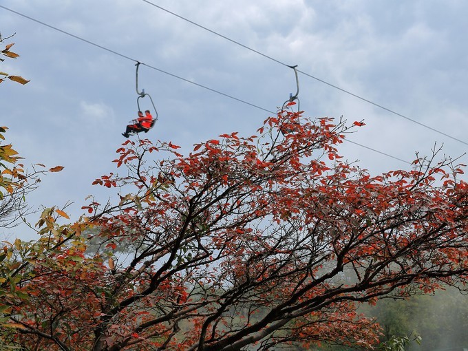 金秋自驾游最佳路线,金秋自驾旅游最新视频