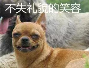 夜里狗狗乱叫是怎么回事,狗狗被咬后夜里乱叫