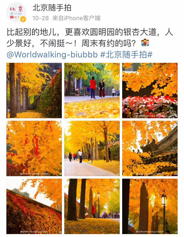 京城赏秋打卡胜地,京城赏荷最佳路线图