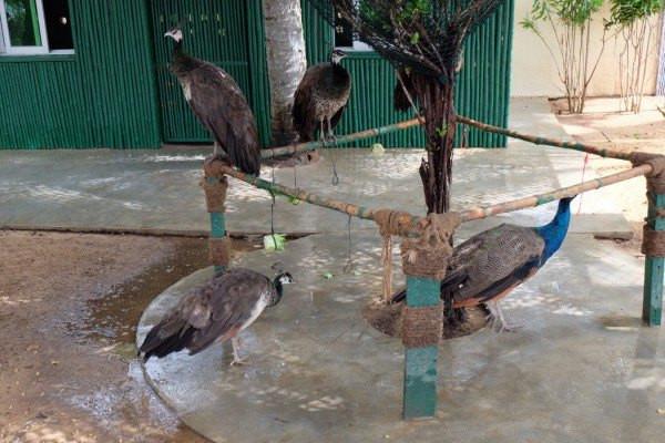 国内亲子游必去的10个海边,假期带孩子去大海旅游推荐