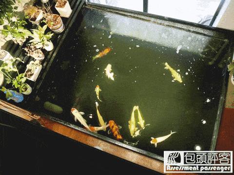 包头好吃的地方推荐旅游攻略,包头市逛吃的地方