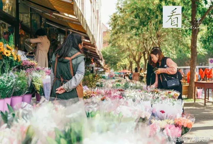 天津宝鸡道花鸟鱼虫市场鹦鹉全吗,天津市宝鸡道花鸟鱼虫市场文玩